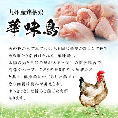 博多華味鳥　もつ鍋セット　HM-A1(筑前町)