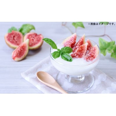 いちじく(とよみつひめ)約700g×2箱