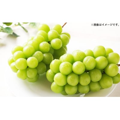 【朝倉産】シャインマスカット 約2kg(3～6房)
