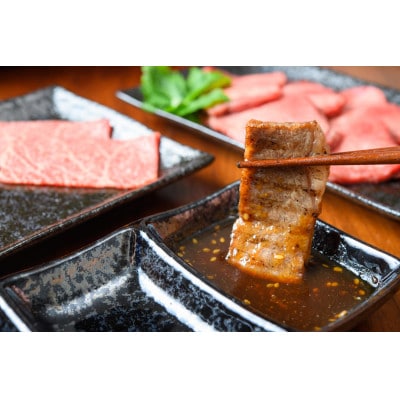 【A4～A5】博多和牛焼肉用　500g(筑前町)【202609】