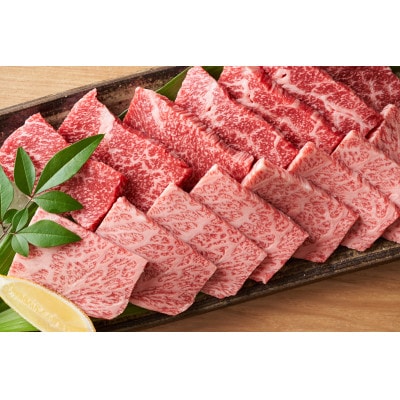 【A4～A5】博多和牛焼肉用　500g(筑前町)【202609】