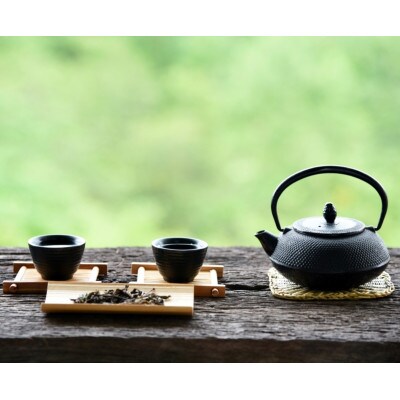 八女茶　煎茶セット　100g×2袋(筑前町) 
