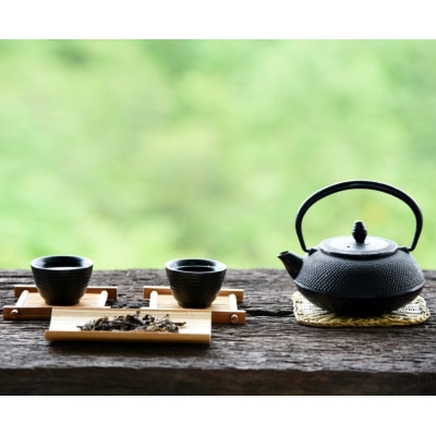 八女茶【特上】煎茶セット　100g×2袋(筑前町) 