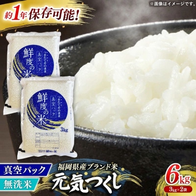 <令和7年産> 元気つくし 無洗米 真空パック 6kg(3kg×2袋)【202609】