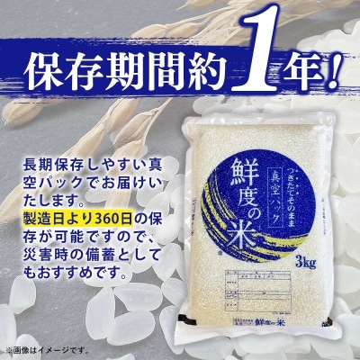 <令和7年産> 元気つくし 無洗米 真空パック 6kg(3kg×2袋)【202609】