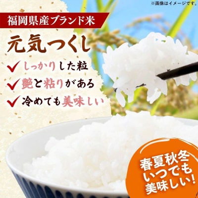 <令和7年産> 元気つくし 無洗米 真空パック 6kg(3kg×2袋)【202609】