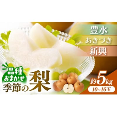 <品種おまかせ>季節の梨 約5kg(10～16玉入り) 豊水 秋月 新興