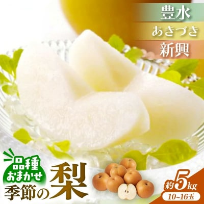 <品種おまかせ>季節の梨 約5kg(10～16玉入り) 豊水 秋月 新興【価格改定】
