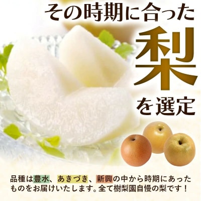 <品種おまかせ>季節の梨 約5kg(10～16玉入り) 豊水 秋月 新興【価格改定】