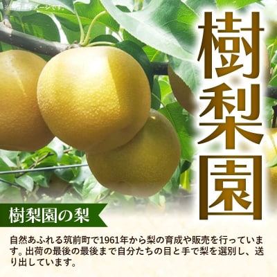 <品種おまかせ>季節の梨 約5kg(10～16玉入り) 豊水 秋月 新興【価格改定】