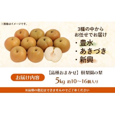<品種おまかせ>季節の梨 約5kg(10～16玉入り) 豊水 秋月 新興