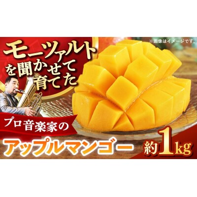 【モーツァルトを聞かせて育てた】アップルマンゴー 約1kg