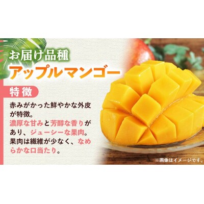 【モーツァルトを聞かせて育てた】アップルマンゴー 約1kg