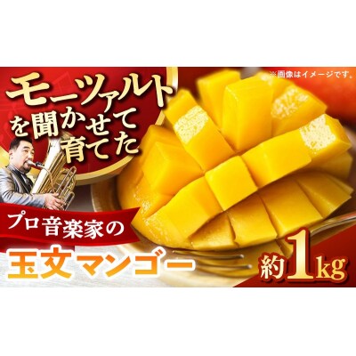 【モーツァルトを聞かせて育てた】玉文マンゴー 約1kg