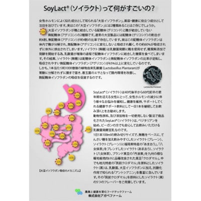 乳酸菌醗酵豆乳「ソイラクト」100ml×4本×3種(プレーン・あまおう・八女抹茶)