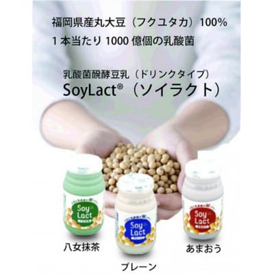 乳酸菌醗酵豆乳「ソイラクト」100ml×4本×3種(プレーン・あまおう・八女抹茶)