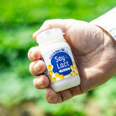乳酸菌醗酵豆乳「ソイラクト」バラエティセット100ml×2本×6種(計12本)
