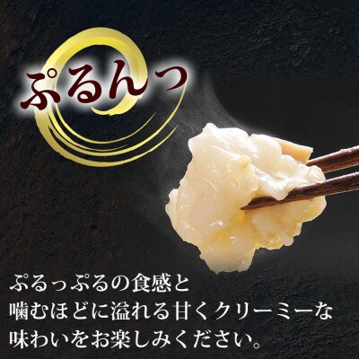 ぷるっぷる♪博多もつ鍋セット(あごだし醤油味)3-4人前×3個セット(筑前町)【202609】