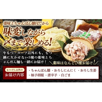 博多喜造 国産牛 もつ鍋セット 2人前