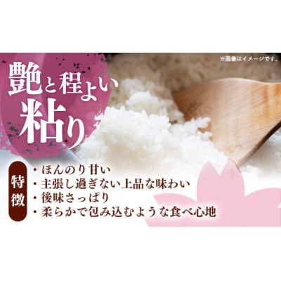 令和8年産 福岡県産米 夢つくし 10kg (5kg×2袋) 精米