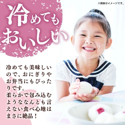 令和8年産 福岡県産米 夢つくし 10kg (5kg×2袋) 精米