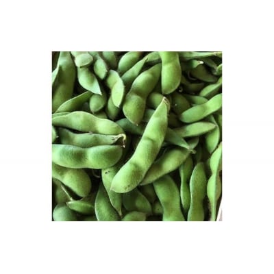 筑前クロダマル(黒大豆)の枝付枝豆 約4kg