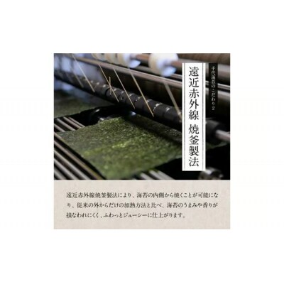 【定期便6回】有明のり わけあり お徳用焼海苔 全形30枚