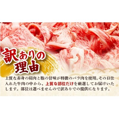 【定期便全2回】【訳あり】【A4～A5ランク】博多和牛 切り落とし 250g
