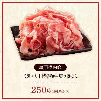 【定期便全2回】【訳あり】【A4～A5ランク】博多和牛 切り落とし 250g