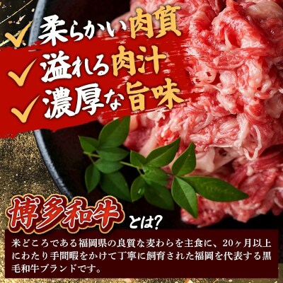 【定期便全3回】【訳あり】【A4～A5ランク】博多和牛 切り落とし 250g