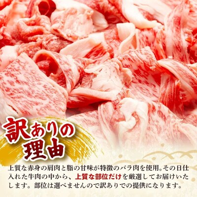 【定期便全3回】【訳あり】【A4～A5ランク】博多和牛 切り落とし 250g