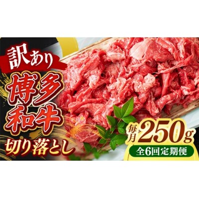 【定期便全6回】【訳あり】【A4~A5ランク】博多和牛 切り落とし 250g
