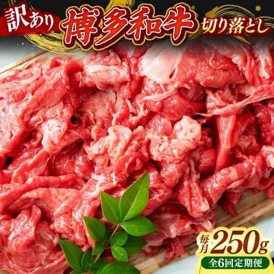 【定期便全6回】【訳あり】【A4~A5ランク】博多和牛 切り落とし 250g