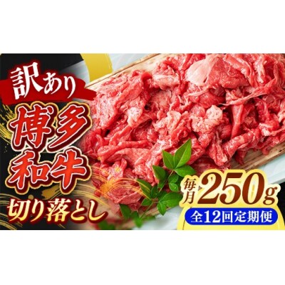 【定期便全12回】【訳あり】【A4~A5ランク】博多和牛 切り落とし 250g