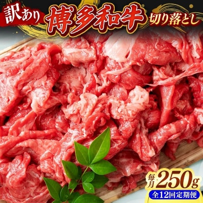 【定期便全12回】【訳あり】【A4~A5ランク】博多和牛 切り落とし 250g
