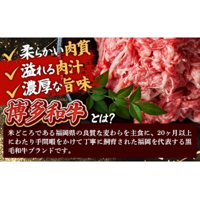 【定期便全12回】【訳あり】【A4~A5ランク】博多和牛 切り落とし 250g