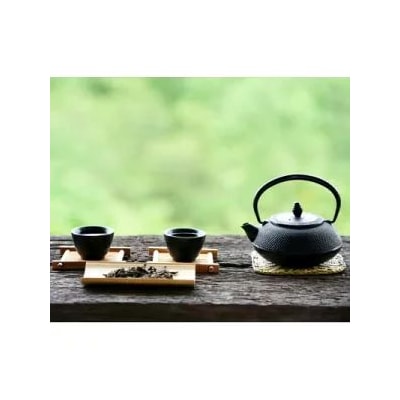 【定期便6回】八女茶　煎茶セット　100g×2袋