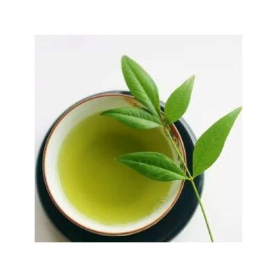 【定期便12回】八女茶　煎茶セット　100g×2袋