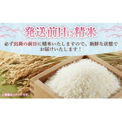 【令和7年産】 福岡県産 米 夢つくし 10kg ( 5kg×2袋 )