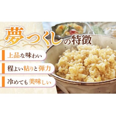 夢つくし 玄米 パックご飯 24個