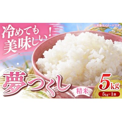 【令和7年産】 福岡県産 米 夢つくし 5kg ( 5kg×1袋 )