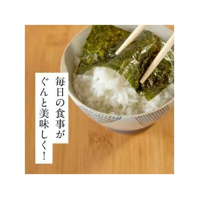 【定期便12回】初摘み 有明のり 味付海苔 6切5枚×24P