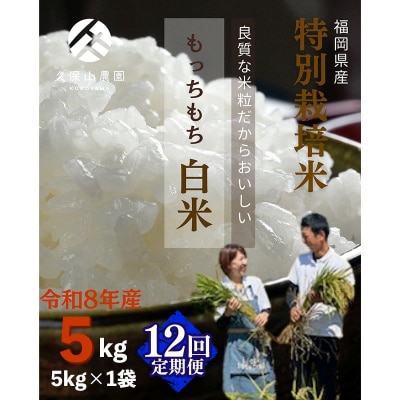 令和8年産【定期便12回】久保山百年米 特別栽培米 白米 5kg 夢つくし/元気つくし