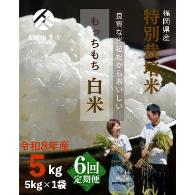令和8年産【先行予約】【定期便6回】久保山百年米 特別栽培米 白米 5kg 夢つくし/元気つくし
