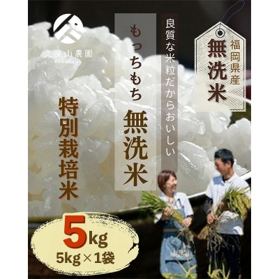令和8年産　久保山百年米 特別栽培米 無洗米 5kg 夢つくし/元気つくし