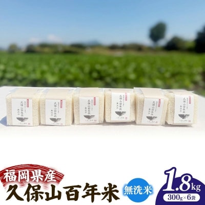 令和8年産　久保山百年米 特別栽培米 真空パック 無洗米 1.8kg(300g×6袋)