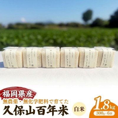 令和8年産　無農薬・無化学肥料で育てた久保山百年米 真空パック 白米 1.8kg(300g)