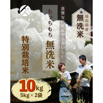 令和8年産　久保山百年米 特別栽培米 無洗米 10kg(5kg×2袋) 夢つくし/元気つくし