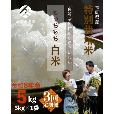 令和8年産　【定期便3回】久保山百年米 特別栽培米 白米 5kg 夢つくし/元気つくし