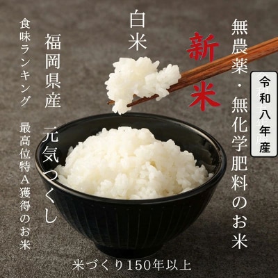 令和8年産　無農薬・無化学肥料で育てた久保山百年米 白米 6kg(2kg×3袋) 元気つくし